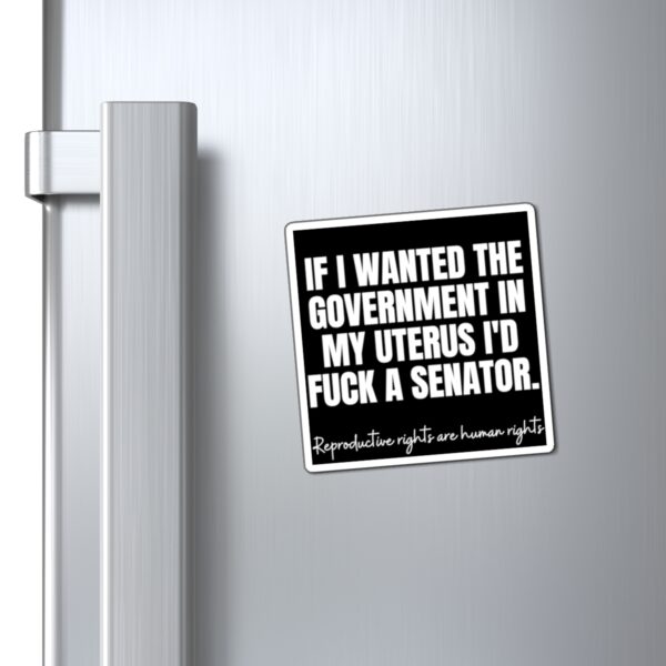 Fvck A Senator Reproductive Rights Magnet - Image 4