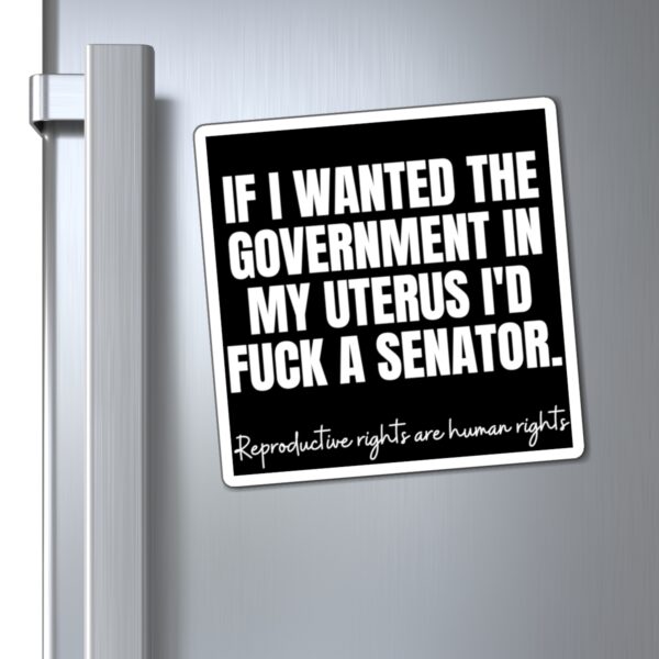 Fvck A Senator Reproductive Rights Magnet