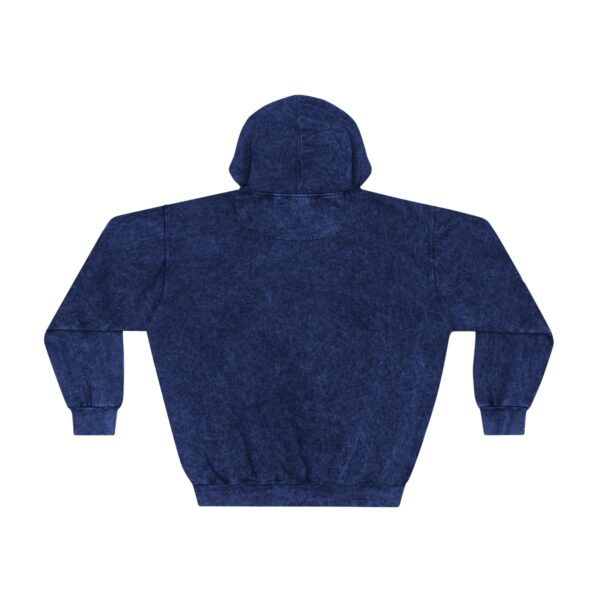 Literally Freezing Mineral Wash Hoodie - Image 6