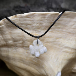 Fossilized Coral Necklace